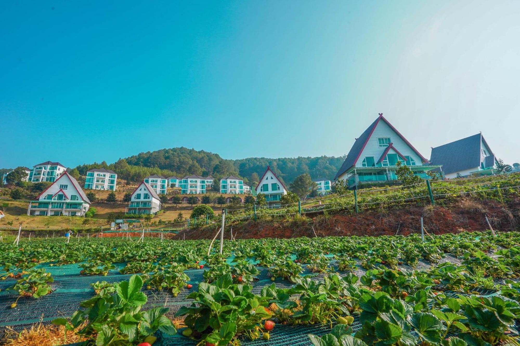 Dalat Wonder Resort Екстер'єр фото